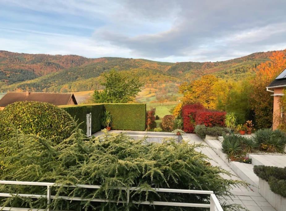 Logement De Charme Au Coeur De La Nature Osenbach المظهر الخارجي الصورة